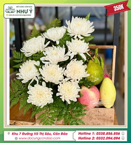 Giỏ cúc trắng + ngũ quả 350k